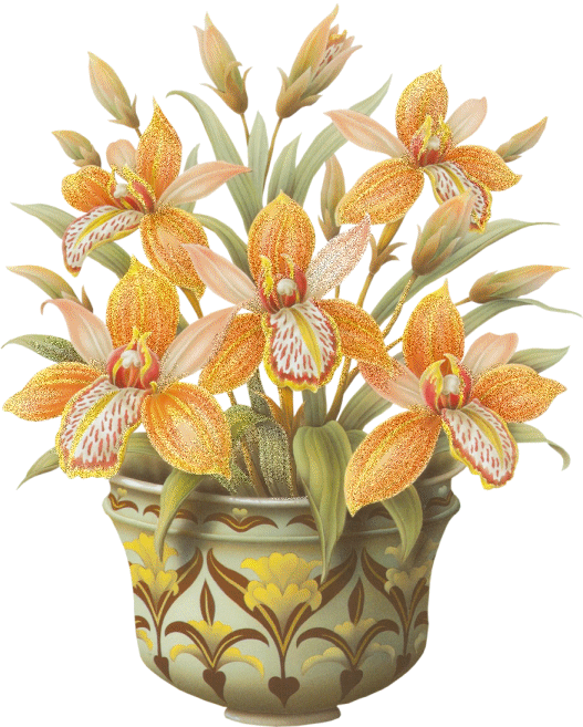 blume200 blume200