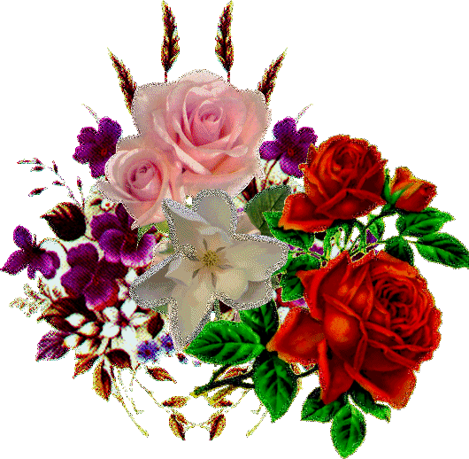 blume201 blume201
