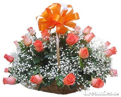 blume202 blume202