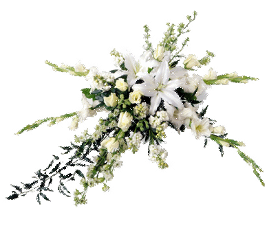 blume203 blume203