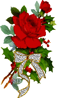 rose21 rose21