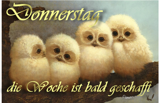 donnerstag2101 donnerstag2101