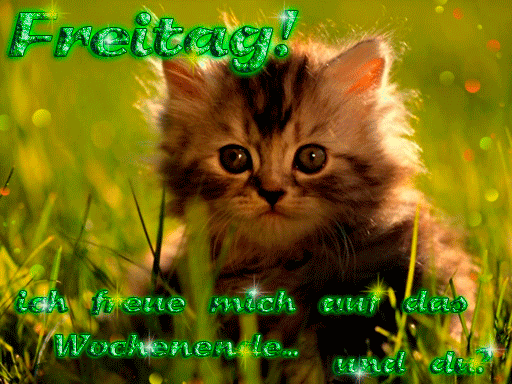 freitag092 freitag092