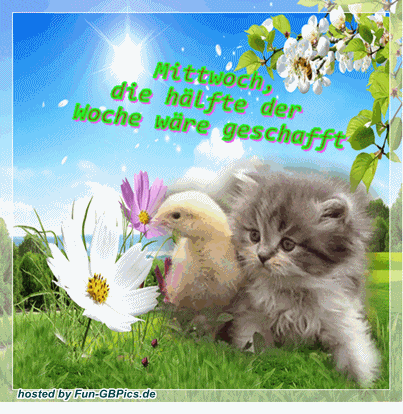 mittwoch091 mittwoch091