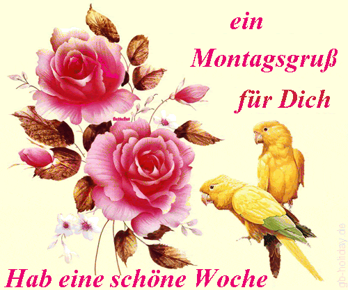 montag090 montag090