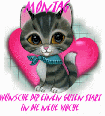montag091 montag091