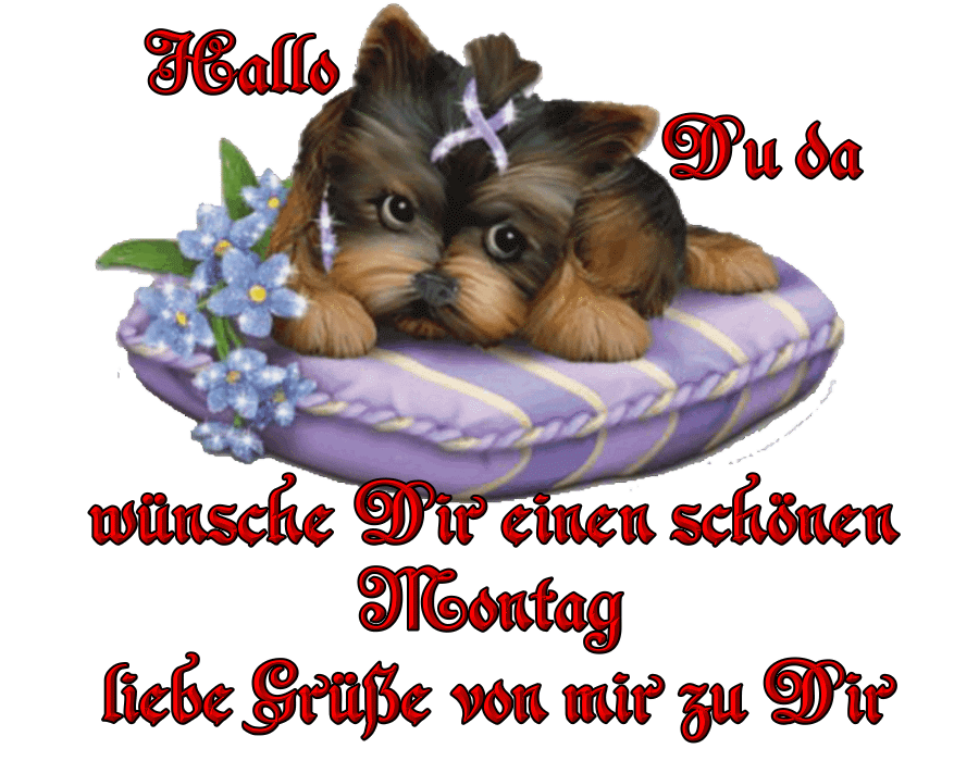 montag2103 montag2103