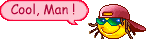 366 366